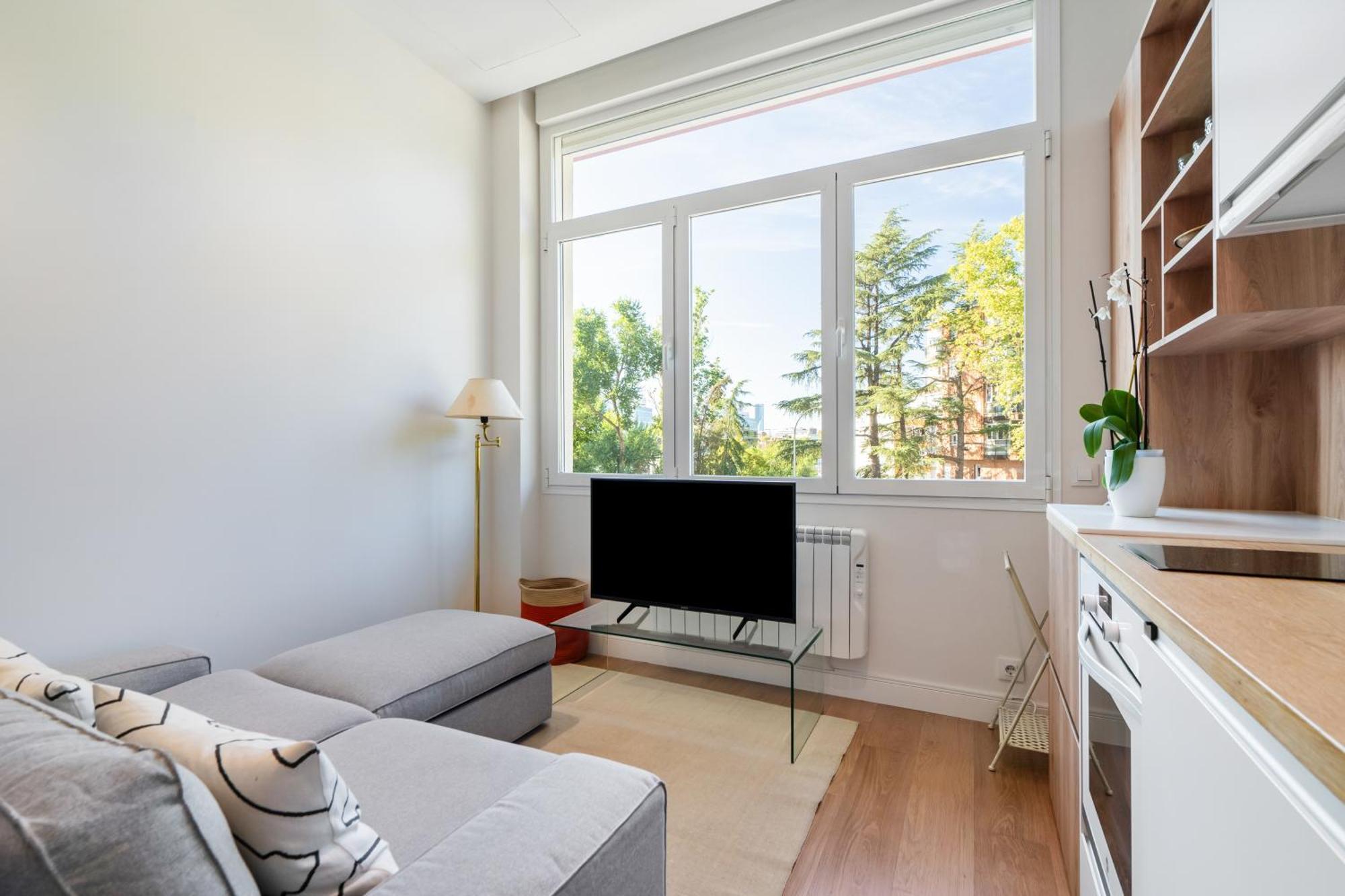 Encantador Estudio Chamartin Madrid Eksteriør billede